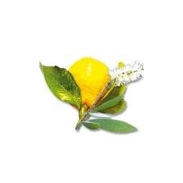 Huiles essentielles Camylle pour hammam - Citron Huiles essentielles Camylle pour hammam - Citron