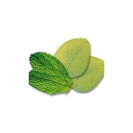 Huiles essentielles Camylle NUAGE - Eucalyptus Menthe Huiles essentielles Camylle NUAGE - Eucalyptus Menthe