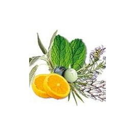 Huiles essentielles Camylle pour bain, balnéo - Elinya Huiles essentielles Camylle pour bain, balnéo - Elinya