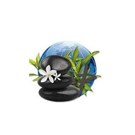 Huiles essentielles Camylle pour bain, balnéo - Orient Huiles essentielles Camylle pour bain, balnéo - Orient